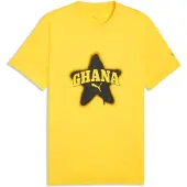Puma Ghana Ftblculture Tee Men, koko Small