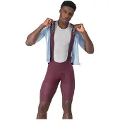 Castelli Premio Evo bib-shortsit deep bordeaux/winter sky miehet