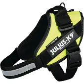 JULIUS K-9 Idc Koiran Valjaat