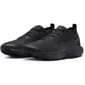 Nike Juoksukengät Pegasus Trail 5 Gore-Tex - Musta/Harmaa, koko 41