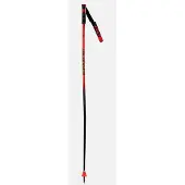 Rossignol Hero Gs-sg Kävelysauvat