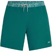 O'Neill Pocket Print 16" Surffishortsit botanical heat Koko M