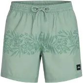 O'Neill Uni Flower 16" Surffishortsit green tropical stripe Koko S