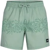 O'Neill Uni Flower 16" Surffishortsit green tropical stripe Koko XXL