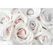 Kärkkäinen Artgeist Satin Rose (Pink) fototapetti