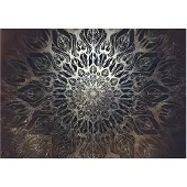 Kärkkäinen Artgeist Spider Web (Brown) itseliimautuva fototapetti