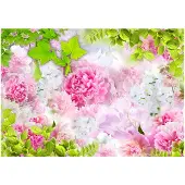 Kärkkäinen Artgeist Peonies fototapetti