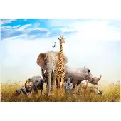 Kärkkäinen Artgeist Fauna of Africa itseliimautuva fototapetti