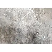 Kärkkäinen Artgeist Clear Branching itseliimautuva fototapetti