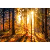 Kärkkäinen Artgeist Autumn Awakening itseliimautuva fototapetti