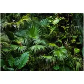 Kärkkäinen Artgeist Sunny Jungle itseliimautuva fototapetti