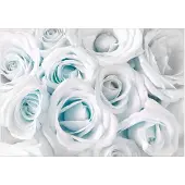 Kärkkäinen Artgeist Satin Rose (Turquoise) itseliimautuva fototapetti