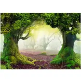 Kärkkäinen Artgeist Enchanted forest itseliimautuva fototapetti