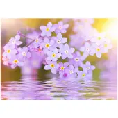 Kärkkäinen Artgeist Violet Petals In Bloom fototapetti
