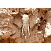 Kärkkäinen Artgeist Stone Elephant (South Africa) fototapetti