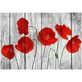 Kärkkäinen Artgeist Tale Of Red Poppies fototapetti