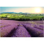 Kärkkäinen Artgeist Lavender Field itseliimautuva fototapetti