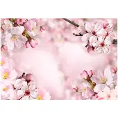 Kärkkäinen Artgeist Spring Cherry Blossom fototapetti