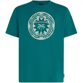 O'Neill Musthave Graphic Lyhythihainen T-paita