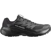 Salomon Alphaglide Gore-tex Polkujuoksukengät