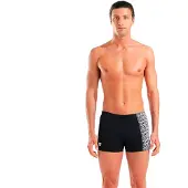 Arena Logo Swim Uimashortsit