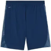 Puma Individualfinal Shortsit