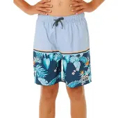 Rip Curl Streamline Stripe Volley Uimashortsit
