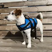Baltic Koiran pelastusliivi Mascot, sininen