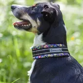 Kusse & Kutta Kusse&Kutta extraleveä lycra-panta, pikkukukat