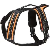 Feel Active Koiran valjaat FA Sport, oranssi