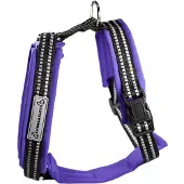 Kusse & Kutta Kusse&Kutta-koiran valjaat softshell-pehmusteella, violetti