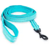 Feel Active Talutushihna Padded, turkoosi