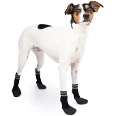 Basic Koiran sukat Paws 4 kpl mustat