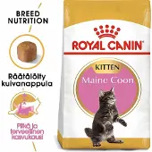 Royal Canin Maine Coon Kitten