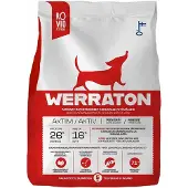 Werraton Aktiivi