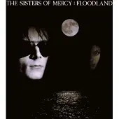 Warner Music - Floodland (LP)