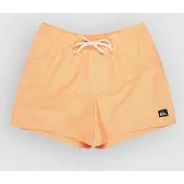 Quiksilver Everyday Deluxe Volley 15 Surffishortsit radiant yellow Koko S