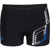 Arena Graphic Swim Uimashortsit