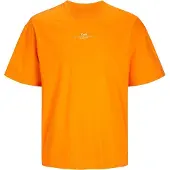 Jack & Jones Austin Photo Lyhythihainen T-paita