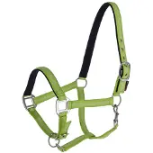 Foga Halter Mustang Pony Green