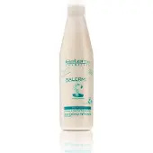 Salerm 21 Silk Protein Leave-in conditioner 250 ml