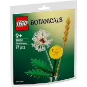 LEGO Botanicals Ängsblommor 30701