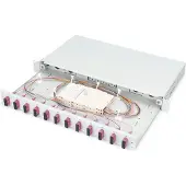 Digitus FO SPLICE BOX, 1U, EQUIPPED, 12X SC DX, OM4 (DN-96321-4)