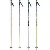 Rossignol Stove Kävelysauvat 20 Parit