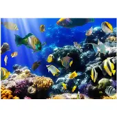 Kärkkäinen Artgeist Underwater adventure itseliimautuva fototapetti