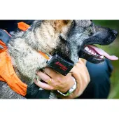 Lafayette GPS Mini C2 koiratutka