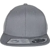 Flexfit Lippalakki harmaa