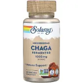 Solaray Chaga Fermented 1000mg Immunity Kapselit 60 Yksiköt