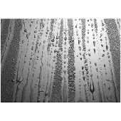 Kärkkäinen Artgeist Summer Drizzle fototapetti