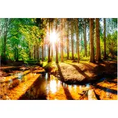 Kärkkäinen Artgeist Marvelous Forest itseliimautuva fototapetti